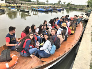 visita a albufera